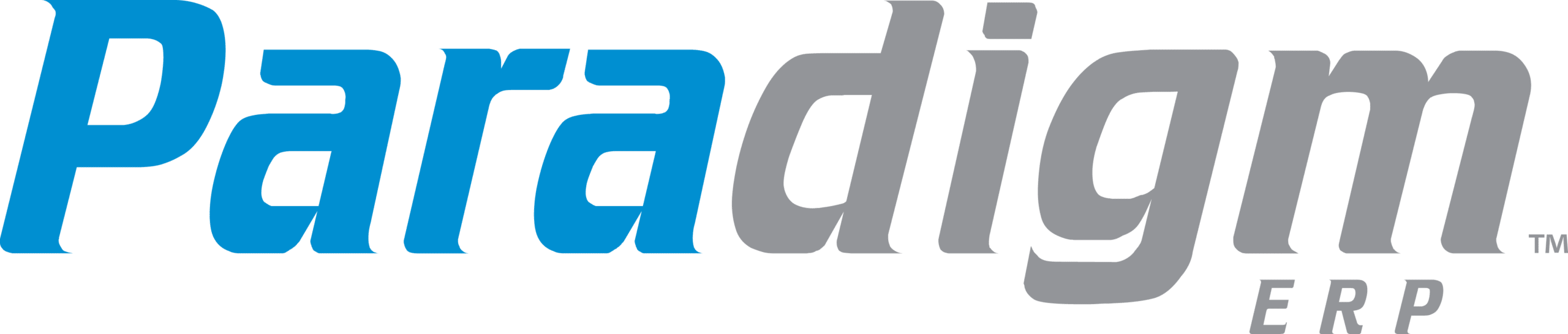 paradigm accounting erp business mfg software from paragon
